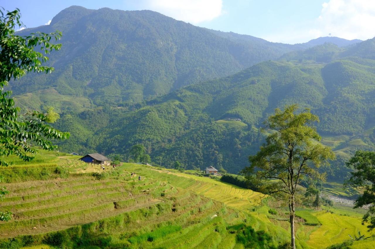 Sapa Hmong Bungalow Homestay Eksteriør bilde