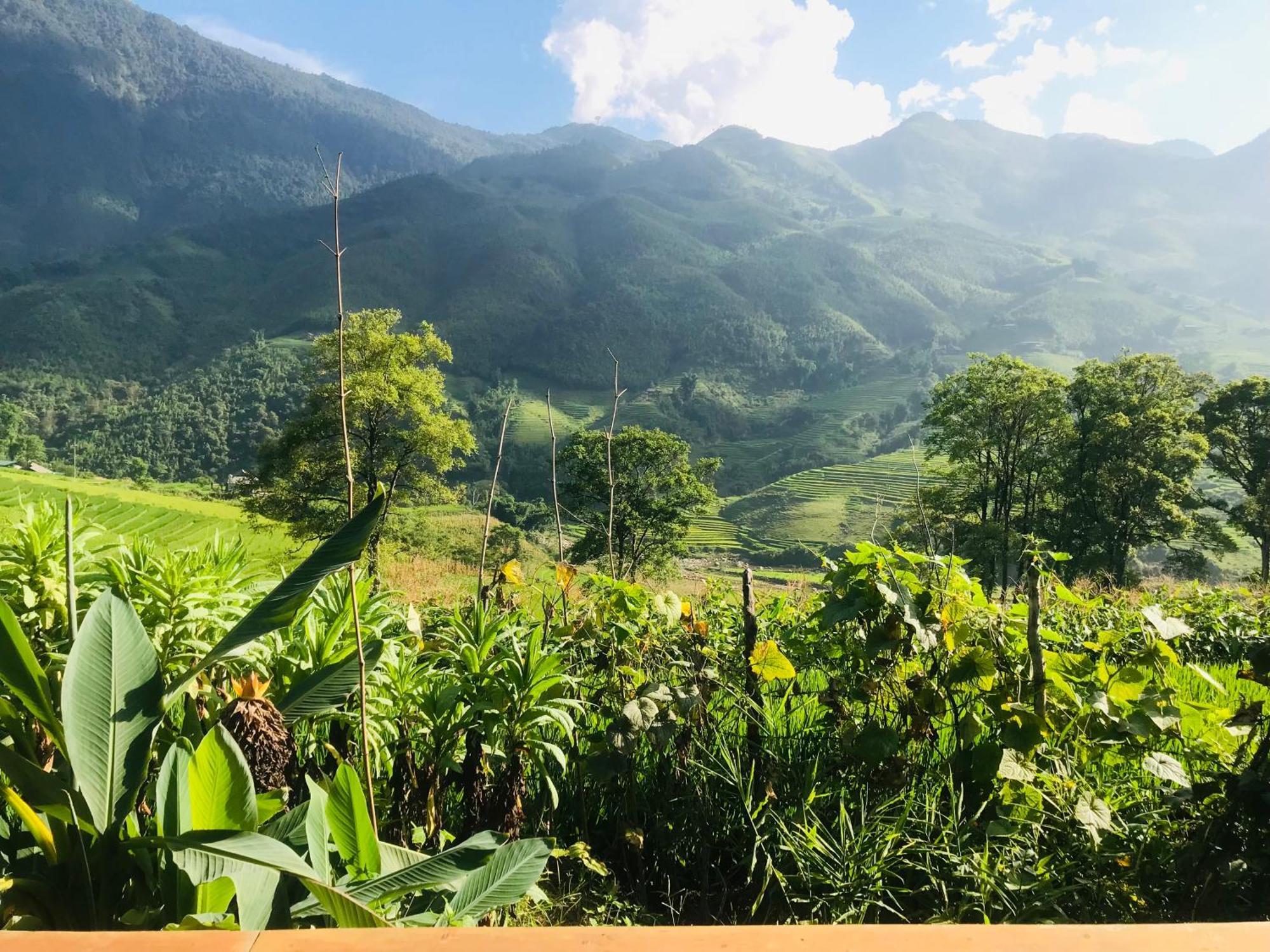 Sapa Hmong Bungalow Homestay Rom bilde