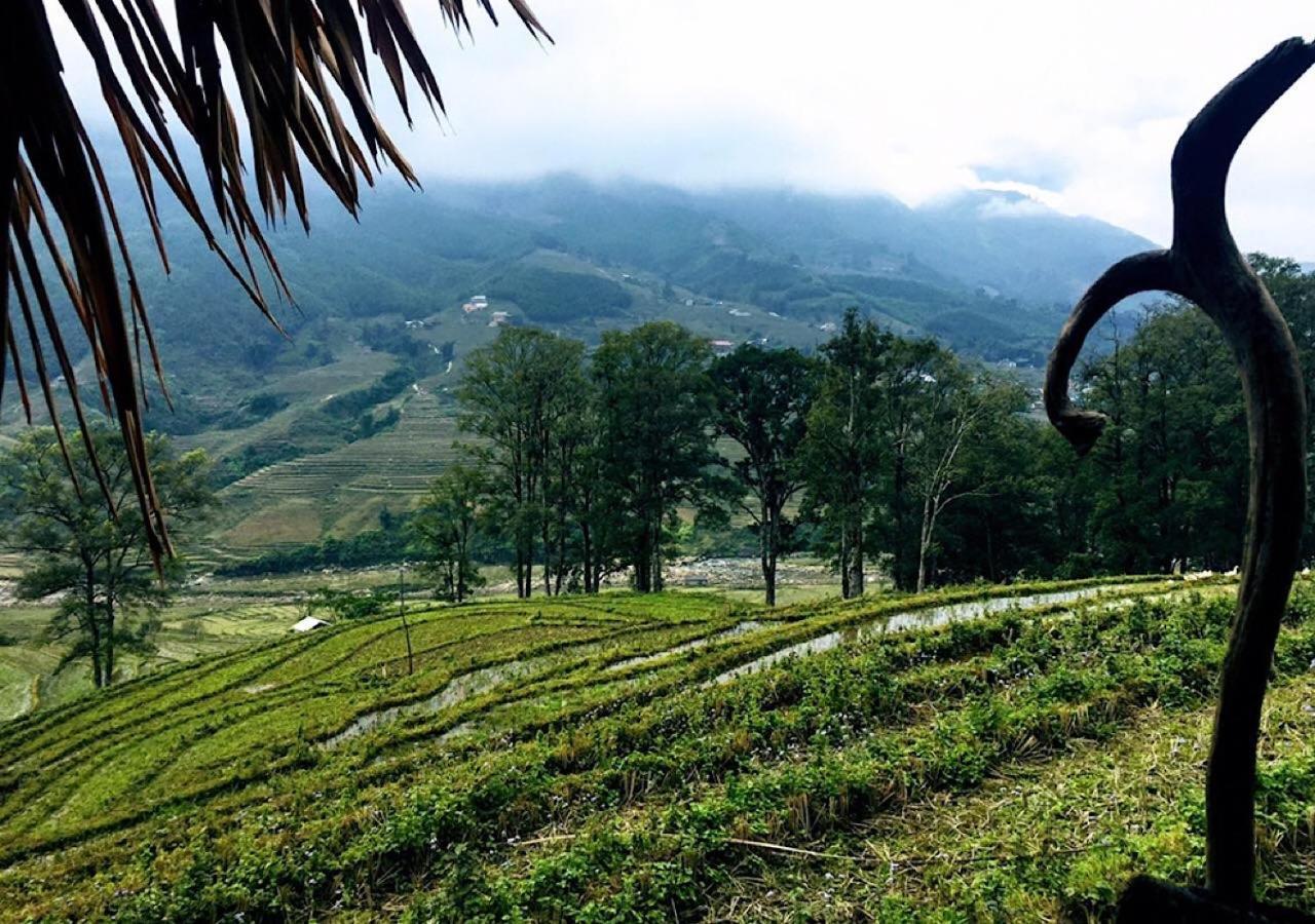 Sapa Hmong Bungalow Homestay Eksteriør bilde