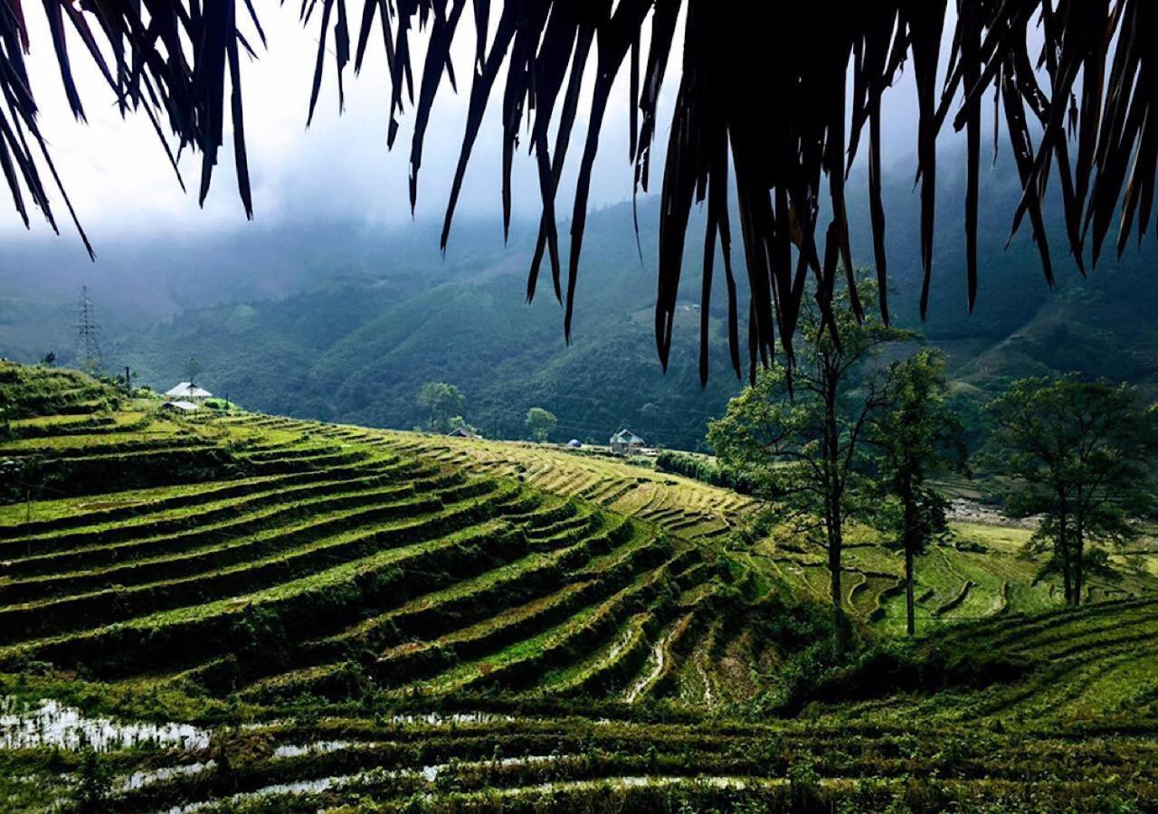 Sapa Hmong Bungalow Homestay Eksteriør bilde